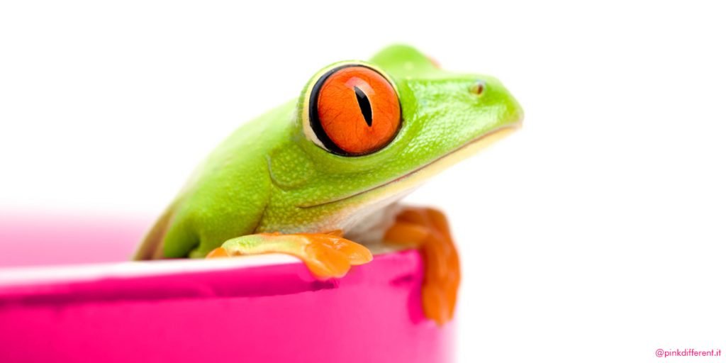 IL-PRINCIPIO-DELLA-RANA-BOLLITA-blo-storie-di-successo-pink-different
