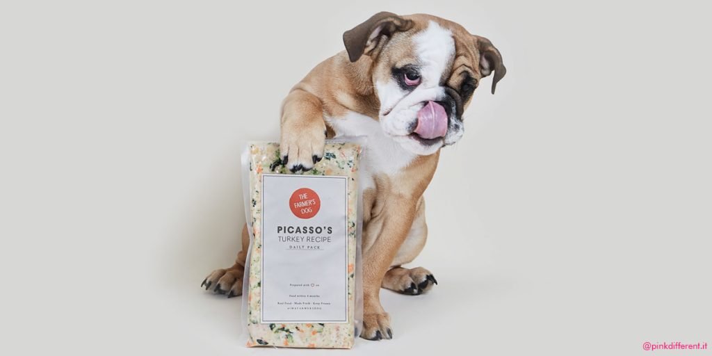 PET-FOOD-The-Farmers-Dog-blog-pink-pill-pink-different